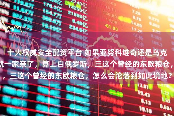 十大权威安全配资平台 如果亚努科维奇还是乌克兰的总统，那么俄乌早就一家亲了，算上白俄罗斯，三这个曾经的东欧粮仓，怎么会沦落到如此境地？