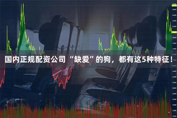 国内正规配资公司 “缺爱”的狗，都有这5种特征！