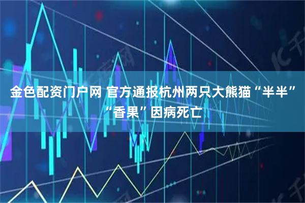 金色配资门户网 官方通报杭州两只大熊猫“半半”“香果”因病死亡