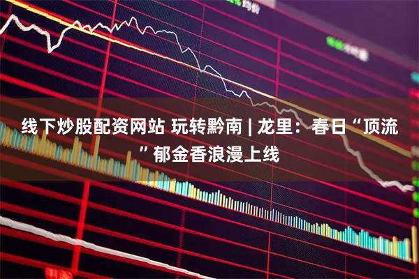 线下炒股配资网站 玩转黔南 | 龙里：春日“顶流”郁金香浪漫上线