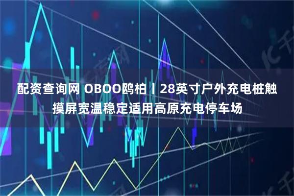 配资查询网 OBOO鸥柏丨28英寸户外充电桩触摸屏宽温稳定适用高原充电停车场