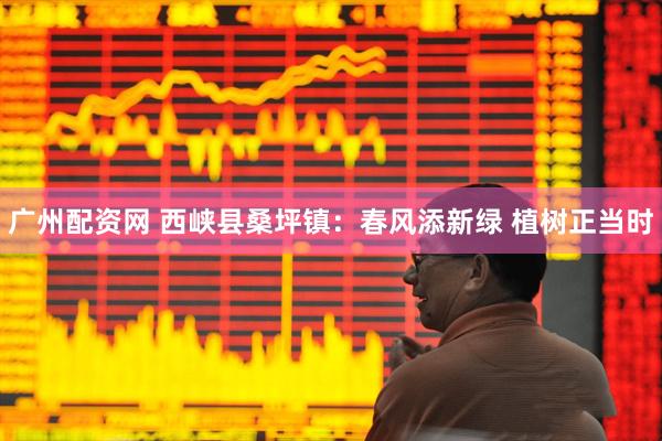 广州配资网 西峡县桑坪镇:春风添新绿 植树正当时
